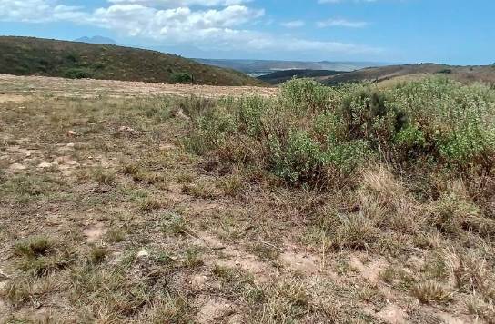 1500 m² Land available in Mossel Bay Central photo number 10