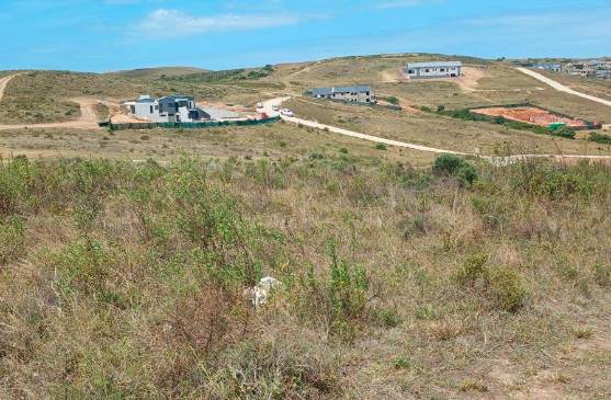 1500 m² Land available in Mossel Bay Central photo number 11
