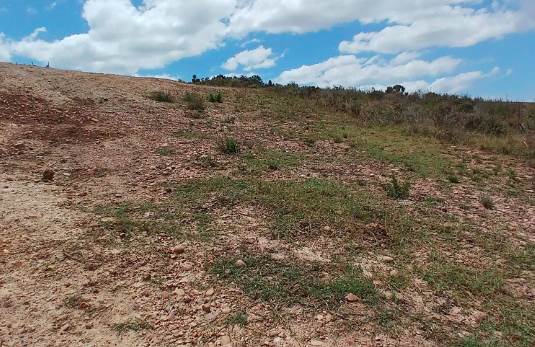 1500 m² Land available in Mossel Bay Central photo number 7