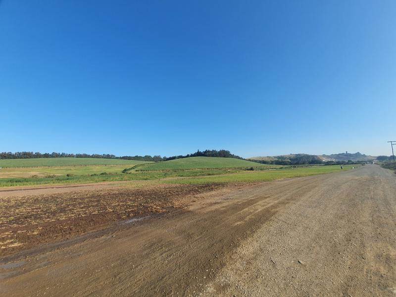 31 ha Land available in Umhlali photo number 3