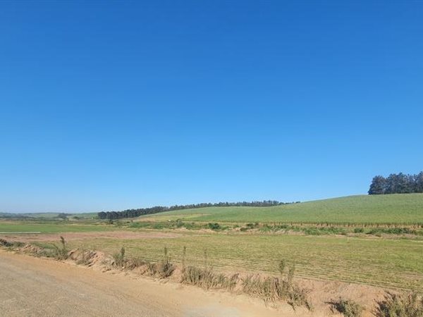 31 ha Land available in Umhlali