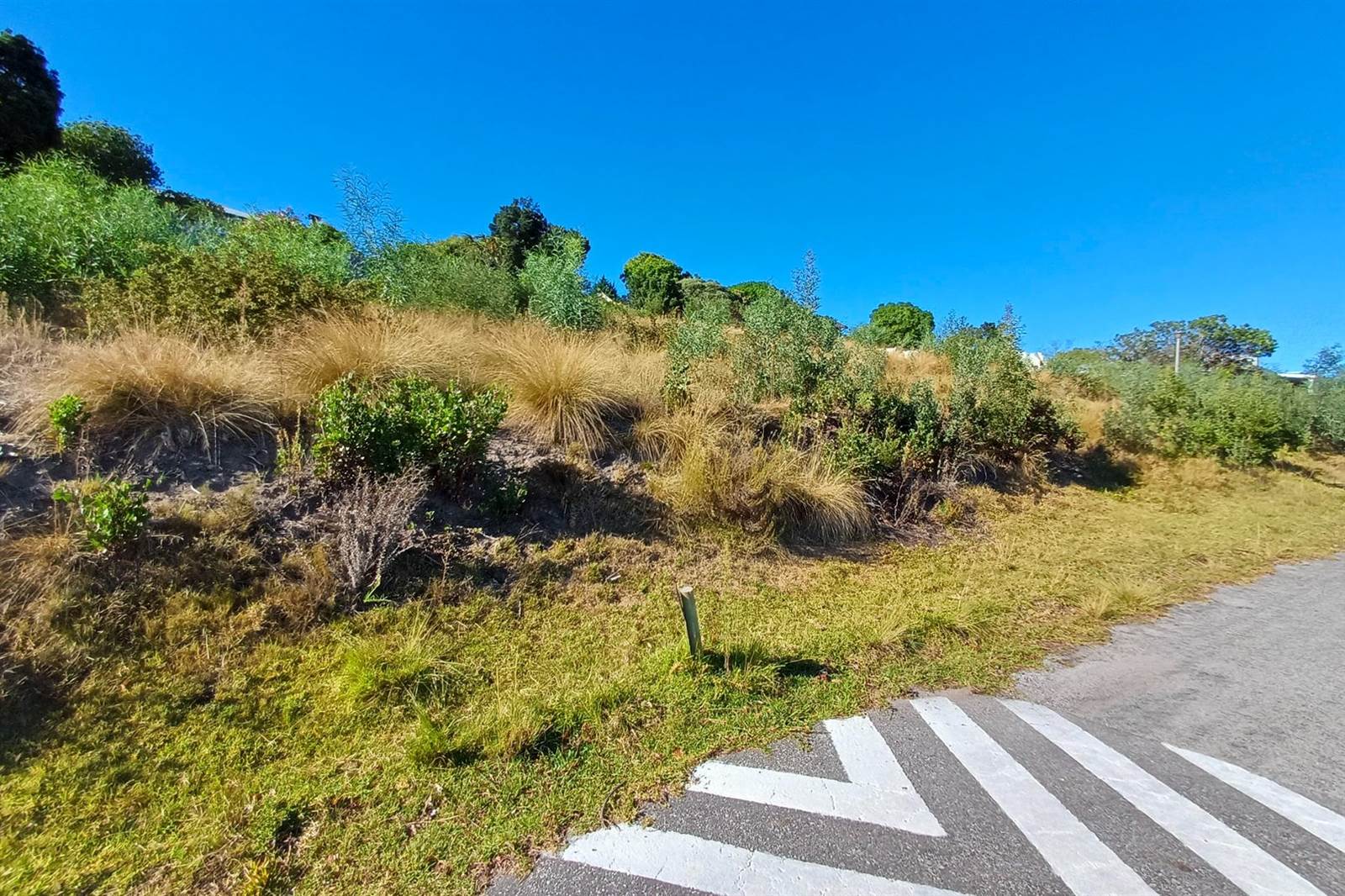 1161 m² Land available in Knysna Heights photo number 4