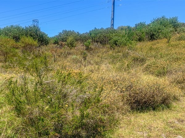 574 m² Land