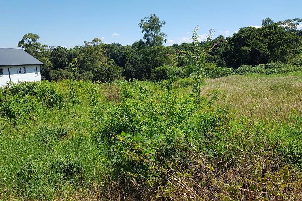 872 m² Land available in Tzaneen photo number 15