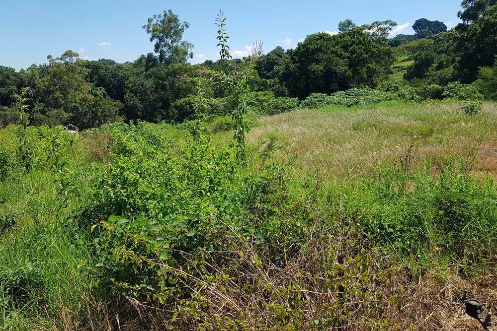 872 m² Land available in Tzaneen photo number 14