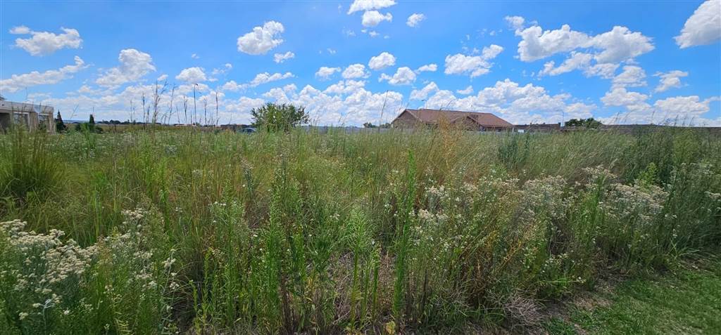 1033 m² Land available in Riversdale photo number 6