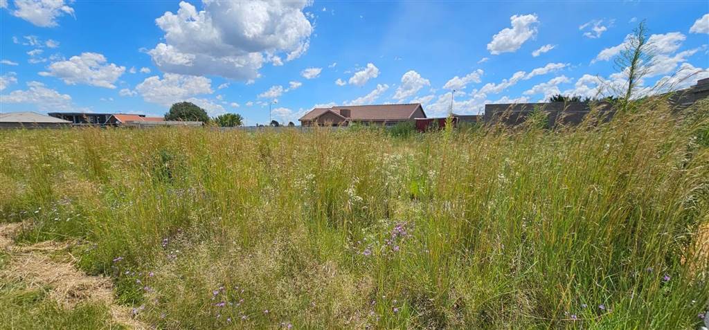 1033 m² Land available in Riversdale photo number 7