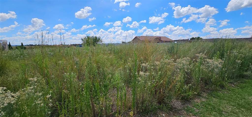 1033 m² Land available in Riversdale photo number 4
