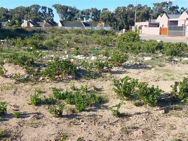173 m² Land available in Saldanha
