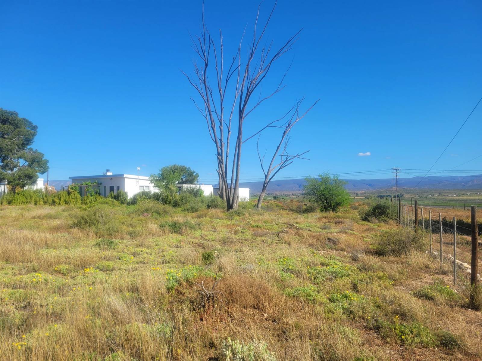 1136 m² Land available in Calitzdorp photo number 5