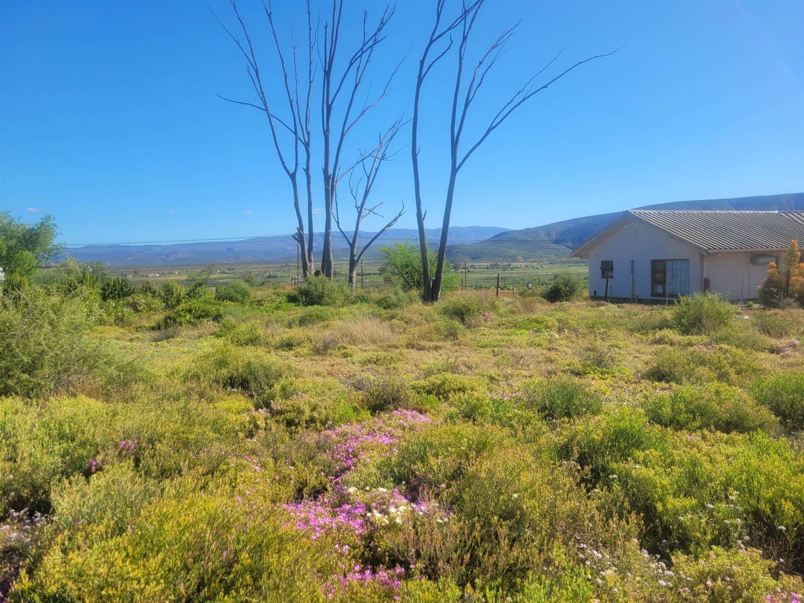 1136 m² Land available in Calitzdorp photo number 10