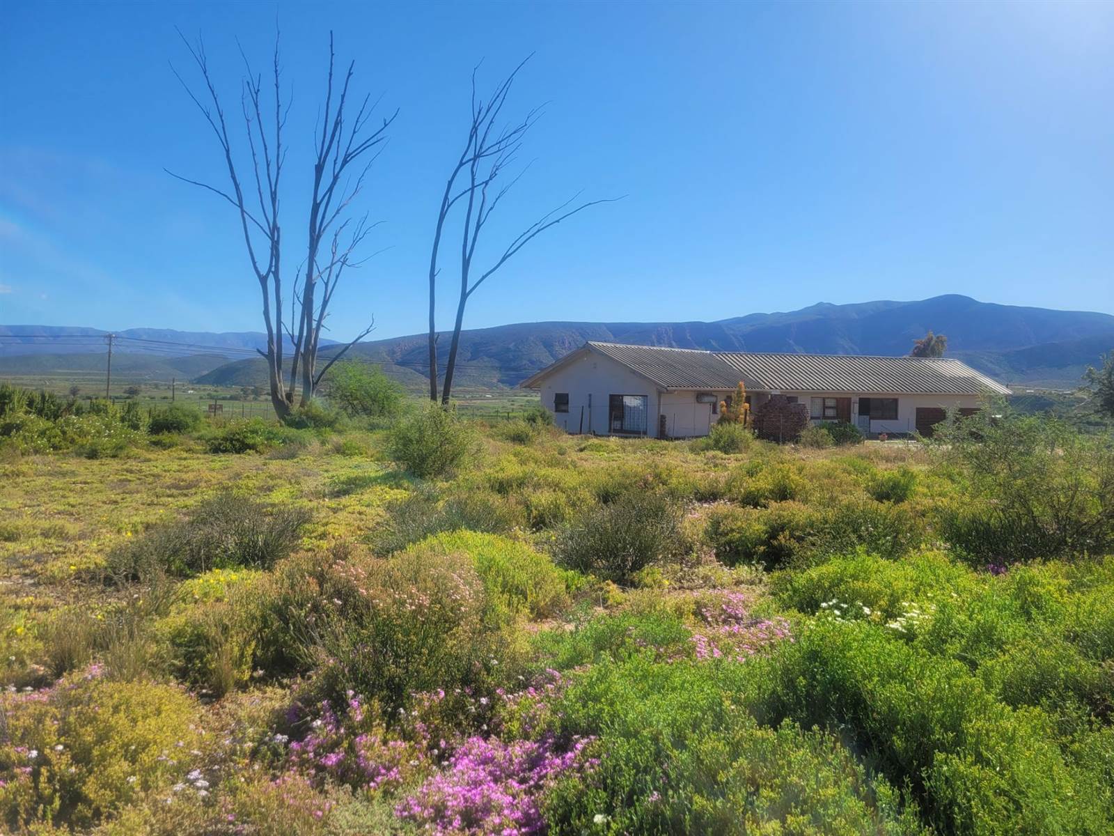 1136 m² Land available in Calitzdorp photo number 13