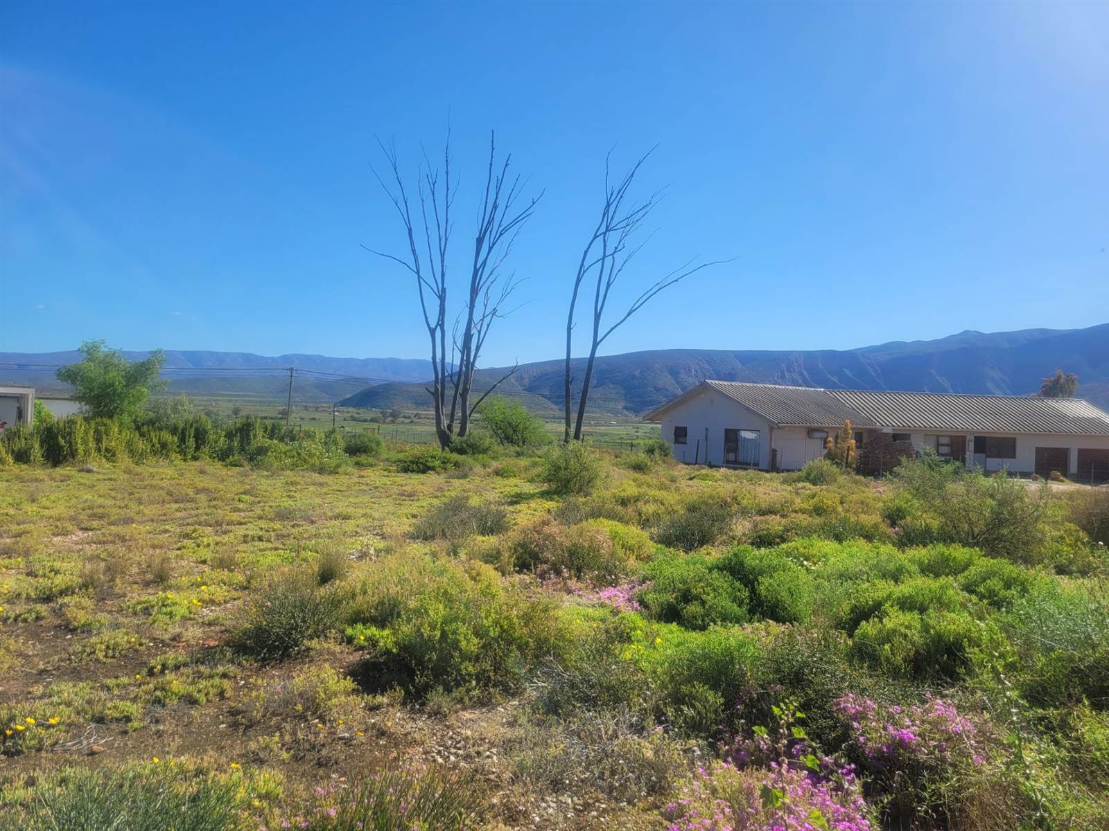 1136 m² Land available in Calitzdorp photo number 1