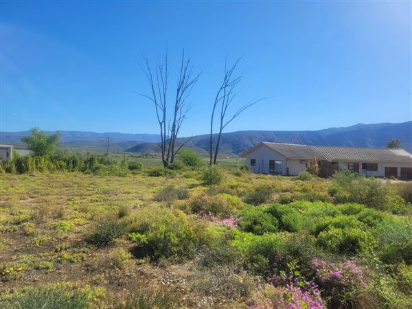 1136 m² Land available in Calitzdorp