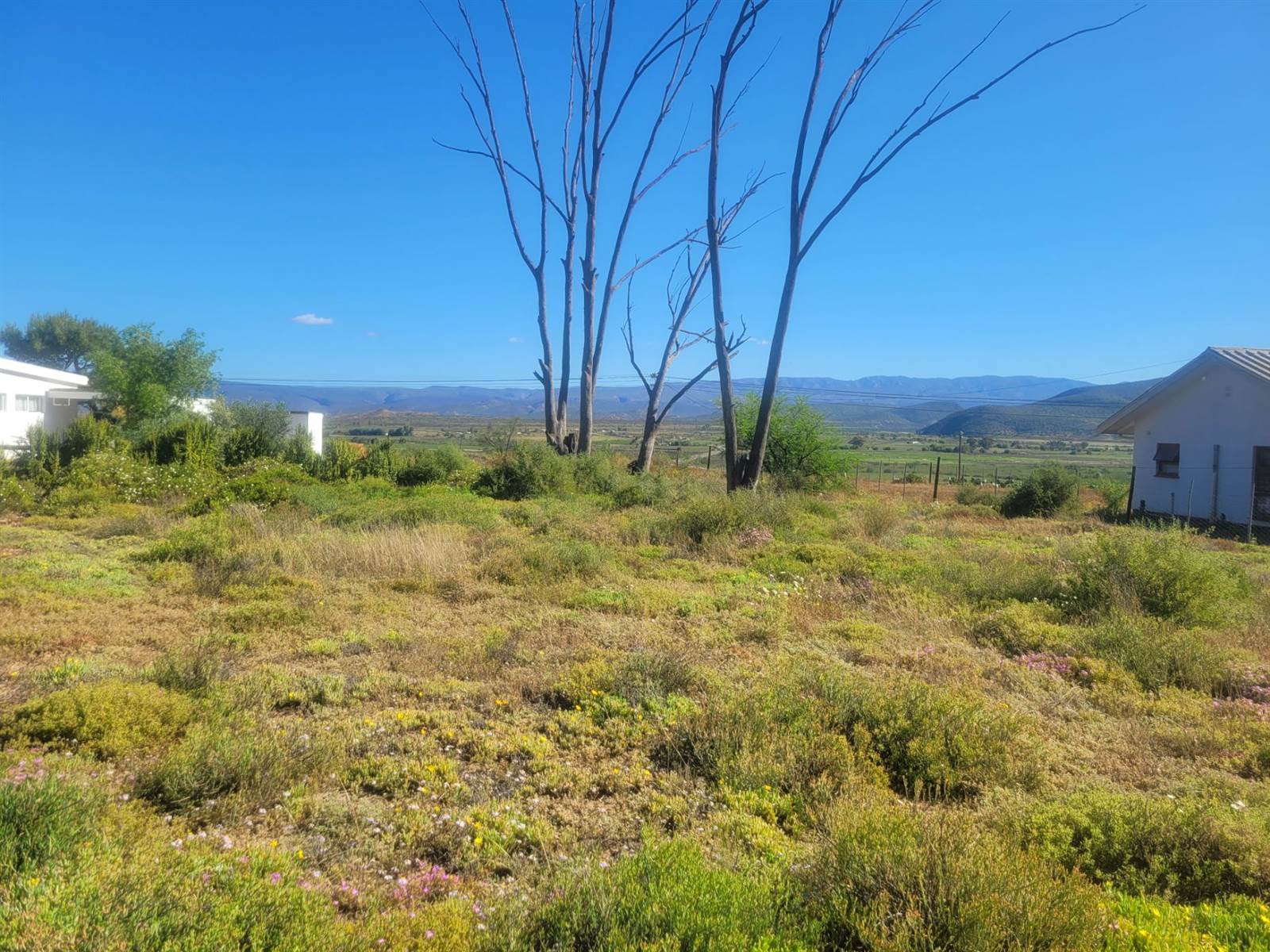 1136 m² Land available in Calitzdorp photo number 15
