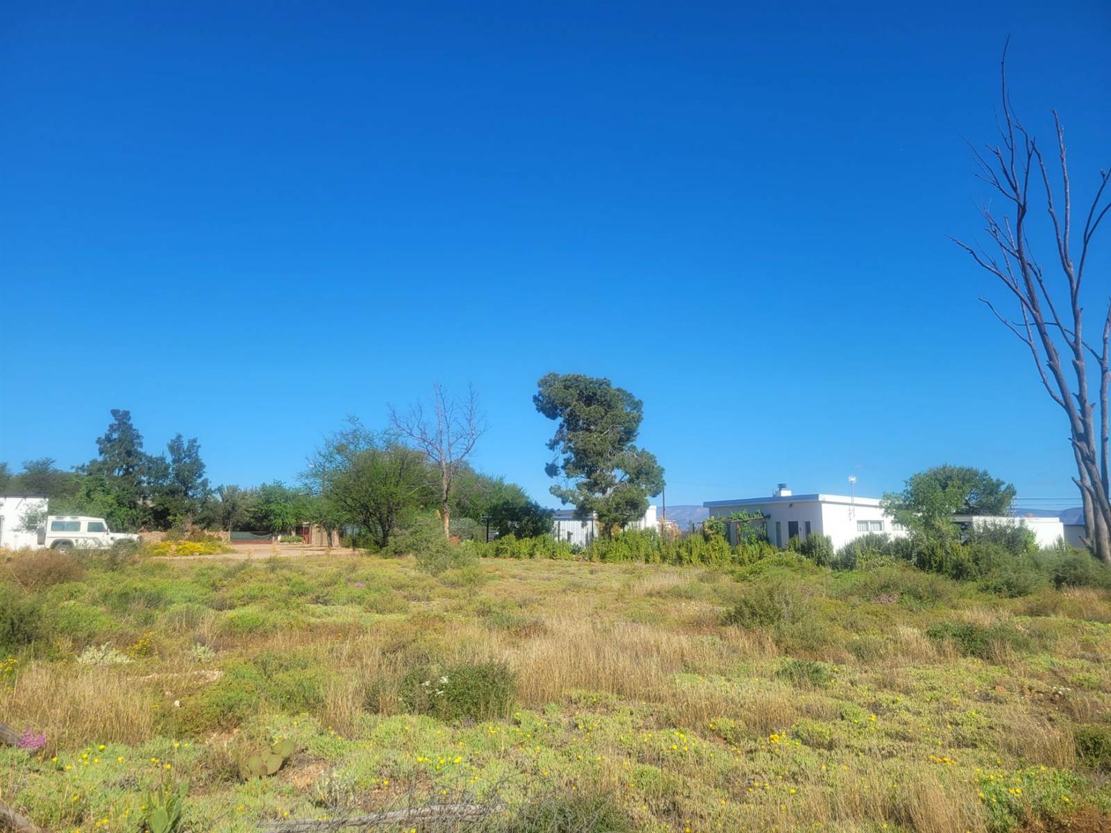 1136 m² Land available in Calitzdorp photo number 2