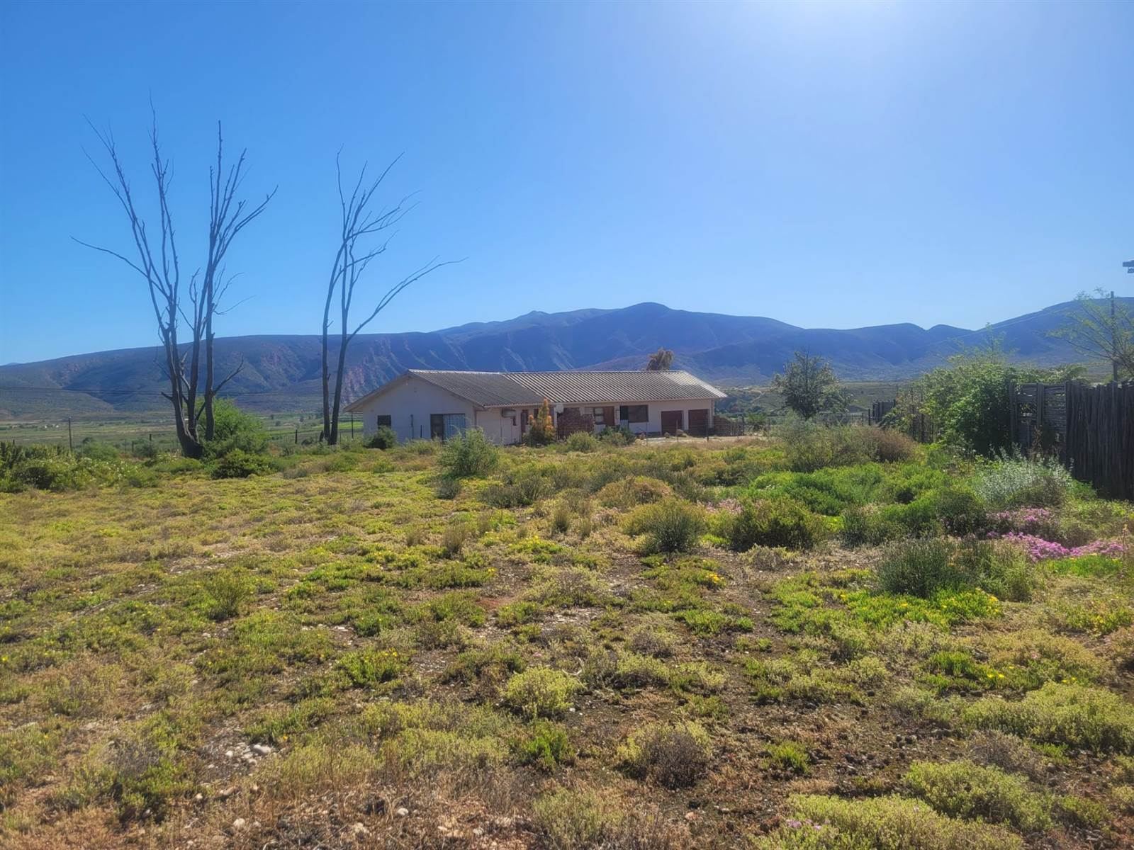 1136 m² Land available in Calitzdorp photo number 6