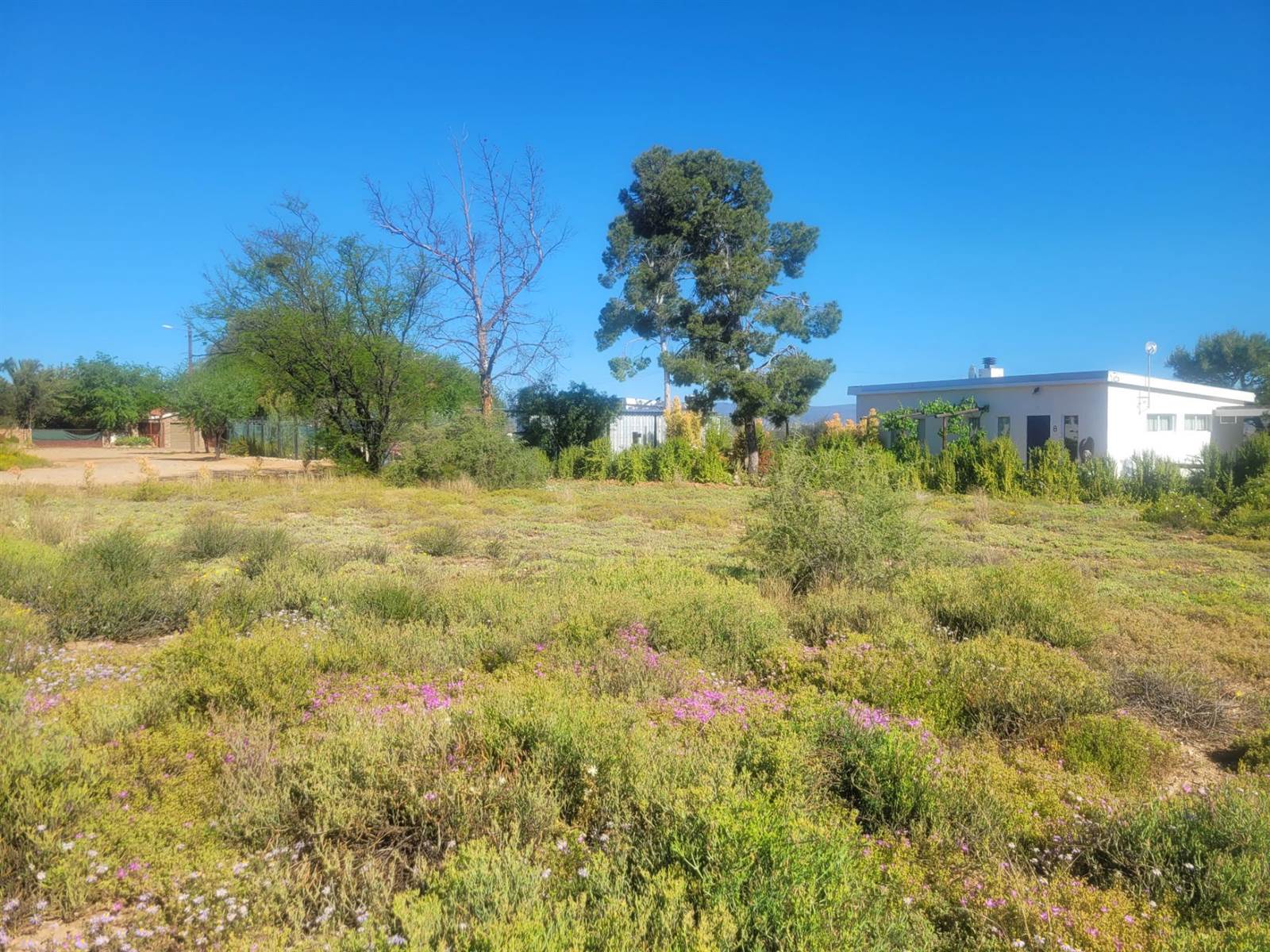 1136 m² Land available in Calitzdorp photo number 11