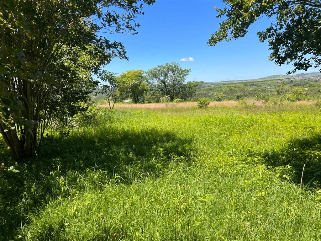 1.6 ha Farm in Mkondeni photo number 5