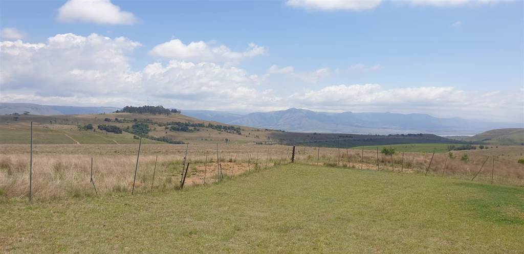 233 ha Farm in Waterval Boven photo number 22