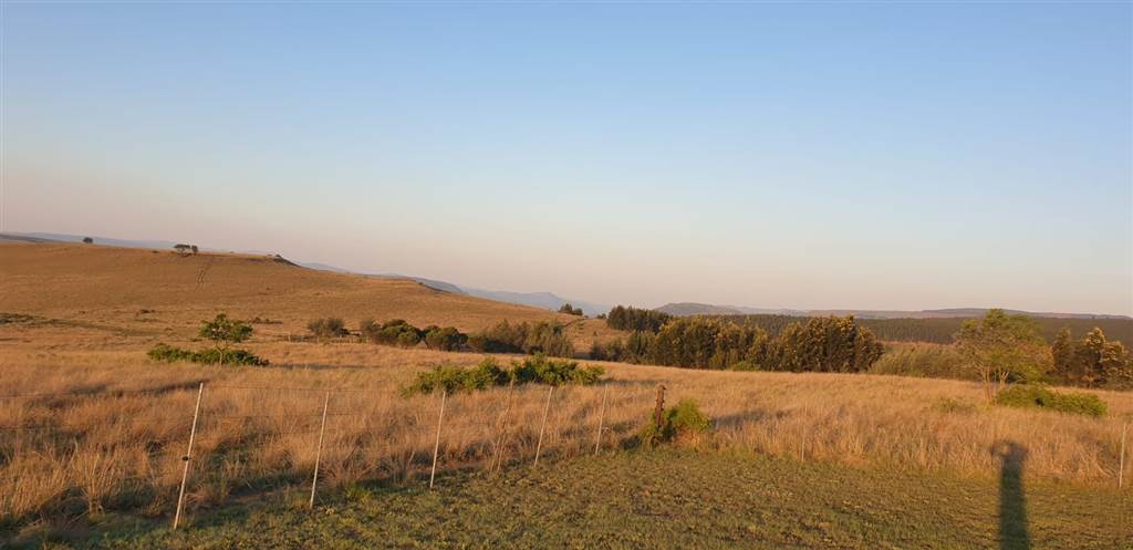 233 ha Farm in Waterval Boven photo number 21