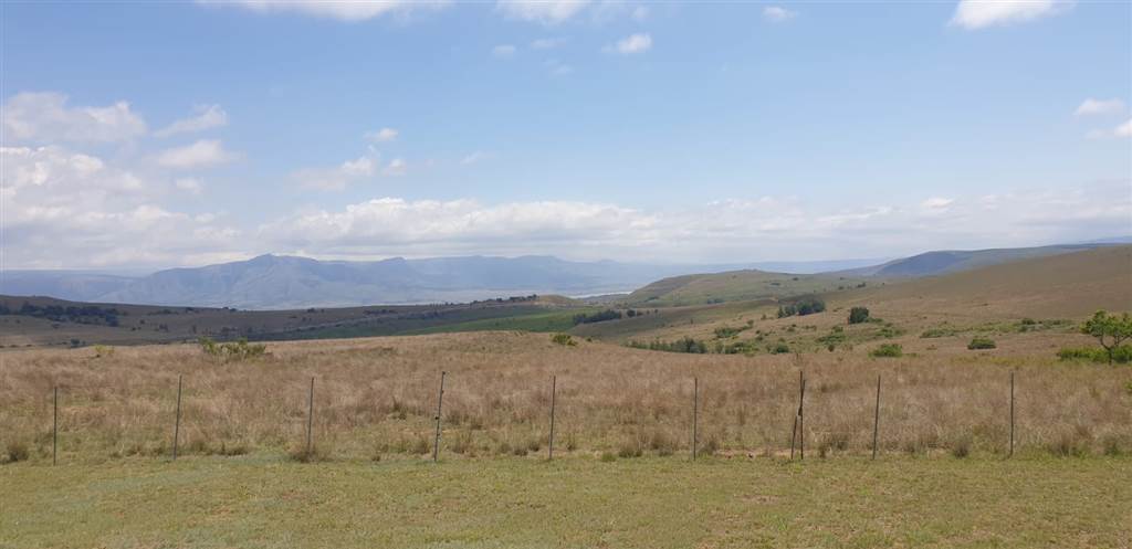 233 ha Farm in Waterval Boven photo number 25