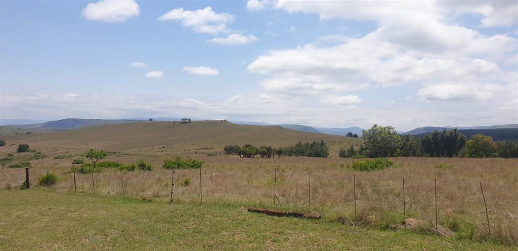 233 ha Farm in Waterval Boven photo number 24