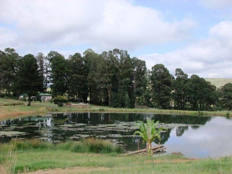 233 ha Farm in Waterval Boven photo number 15