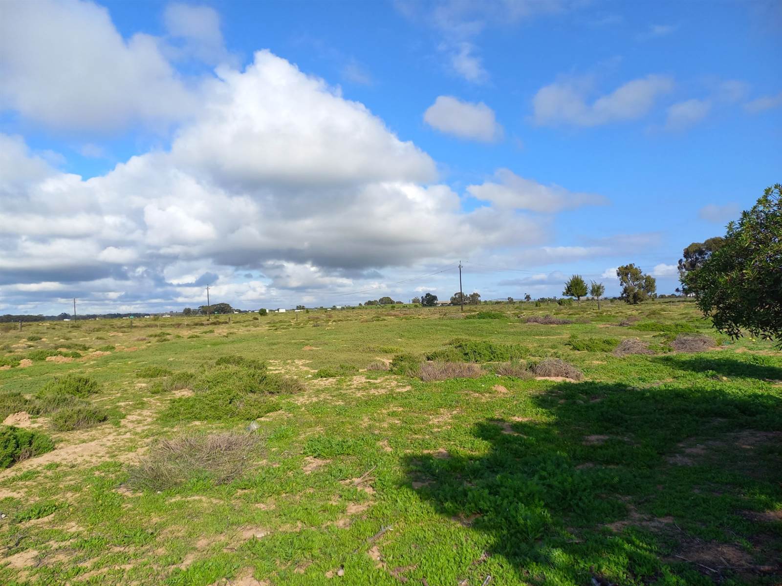 1.5 ha Land available in Vredenburg photo number 3