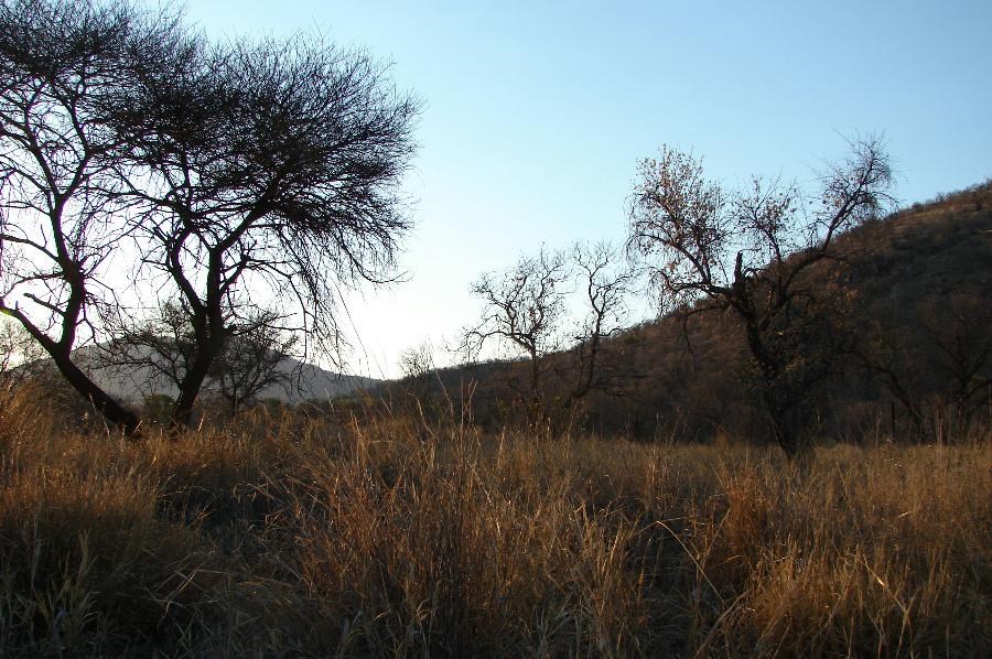873 m² Land available in Thabazimbi photo number 5