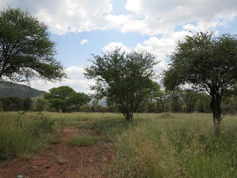 873 m² Land available in Thabazimbi photo number 3
