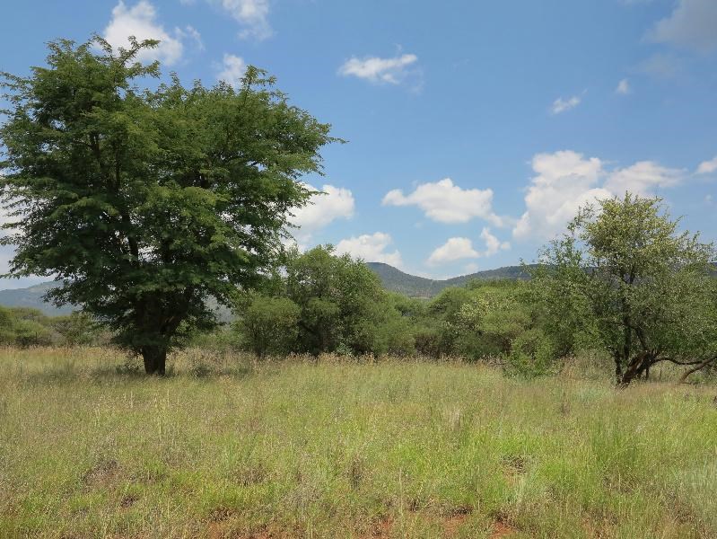 873 m² Land available in Thabazimbi photo number 2