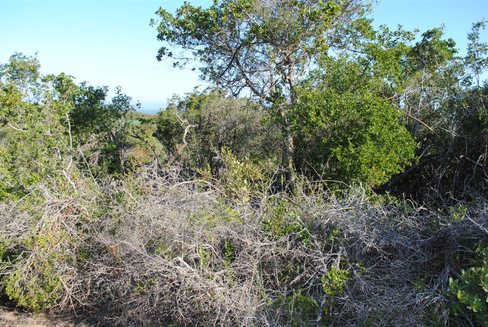 1132 m² Land available in Gamtoos Mouth photo number 2