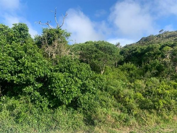 870 m² Land available in Mgwalana