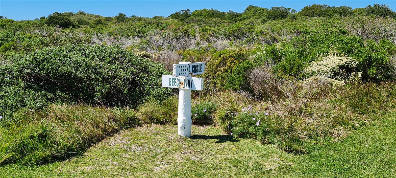 8029 m² Land available in Cape St Francis photo number 1