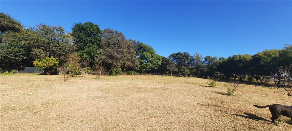 1.8 ha Land available in Monavoni AH photo number 13