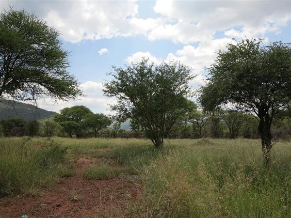 1239 m² Land available in Thabazimbi
