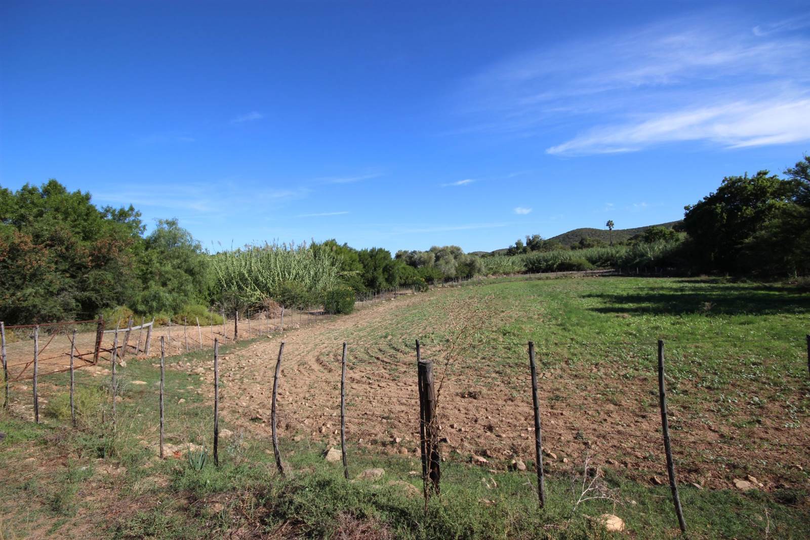 1.5 ha Land available in Oudtshoorn photo number 12