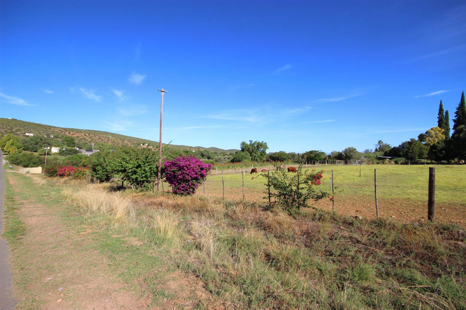 1.5 ha Land available in Oudtshoorn photo number 9