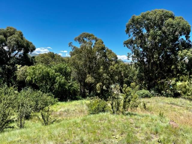 700 m² Land available in Clarens photo number 5