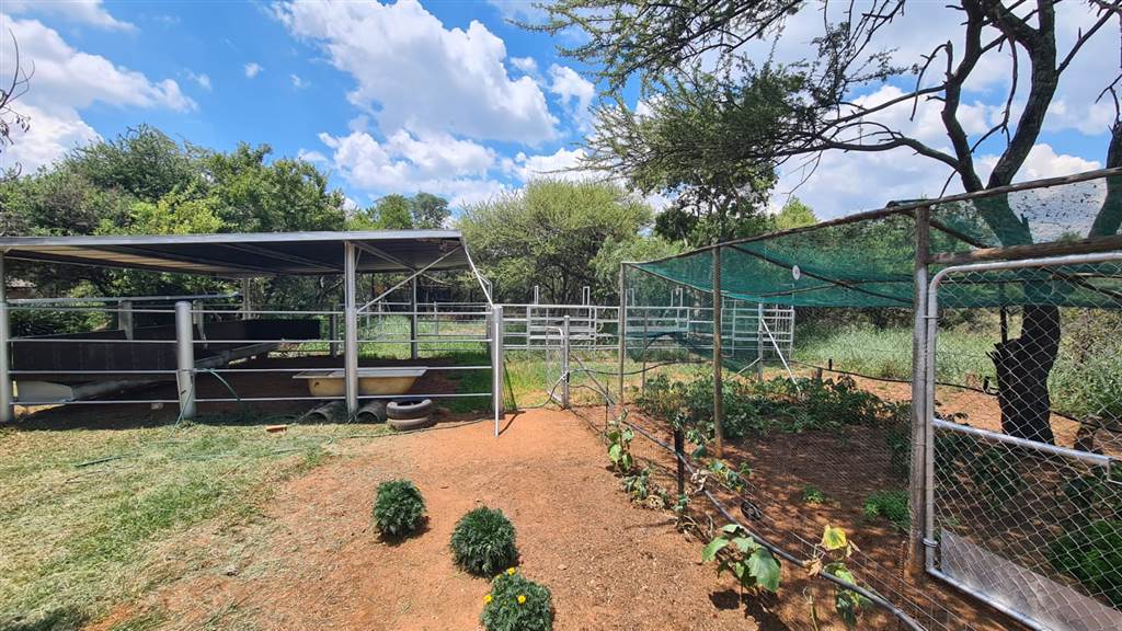 8.6 ha Smallholding in Bultfontein AH photo number 20