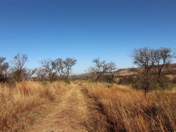 21.4 ha Land 21.4 ha Land