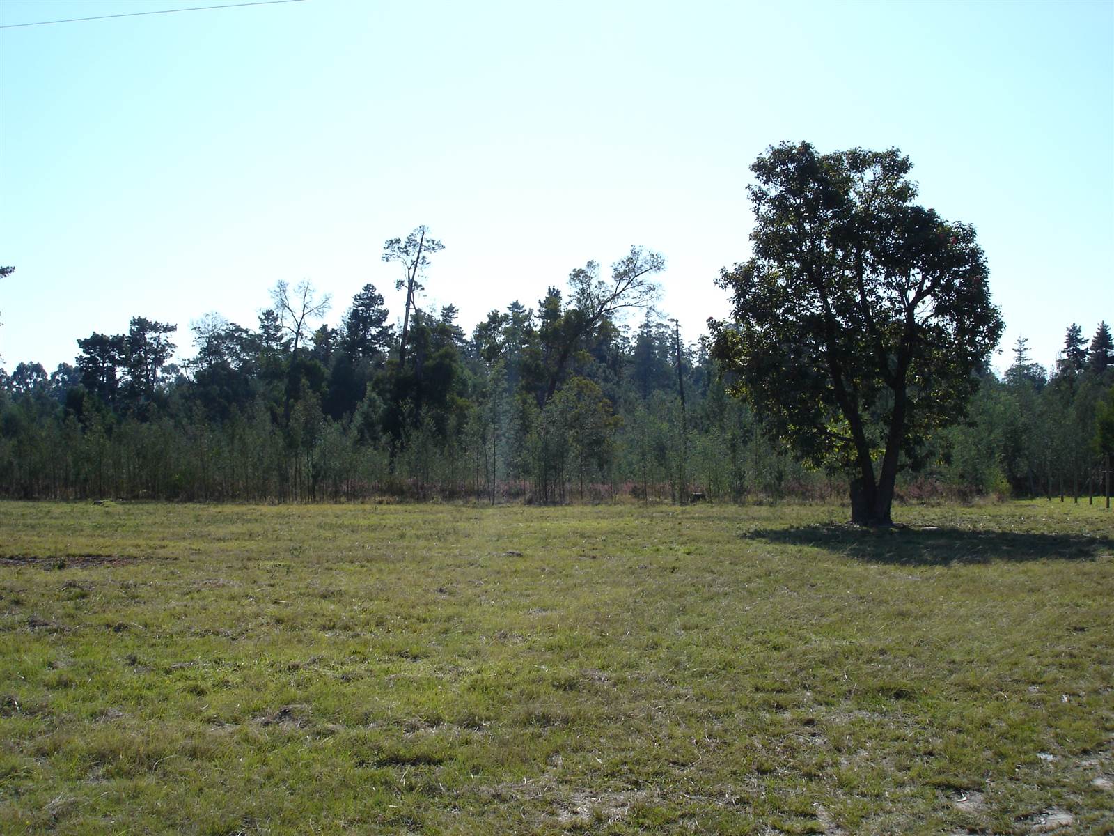 1.9 ha Land available in Harkerville photo number 5