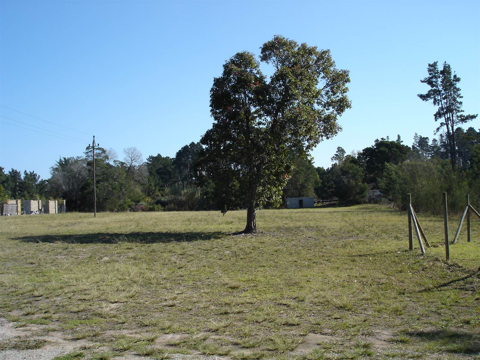 1.9 ha Land available in Harkerville photo number 6