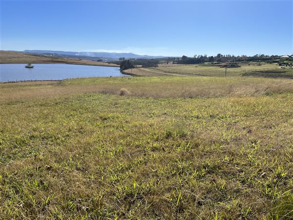 1 ha Land 1 ha Land