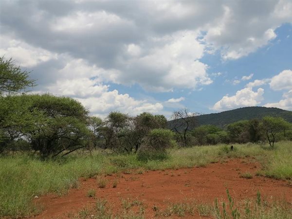 1035 m² Land available in Thabazimbi