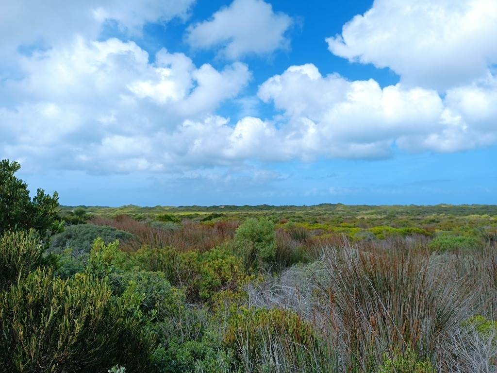 396 m² Land available in Struisbaai photo number 3