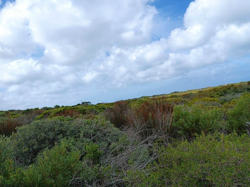 396 m² Land available in Struisbaai photo number 6