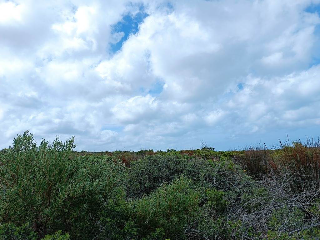 396 m² Land available in Struisbaai photo number 14