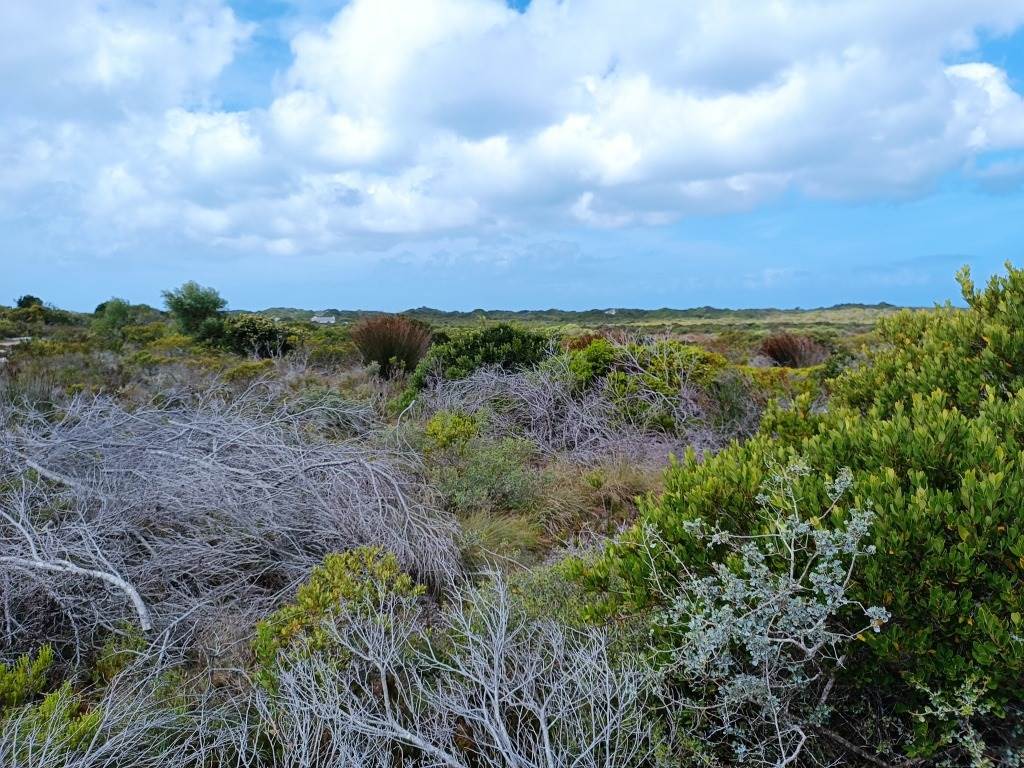 396 m² Land available in Struisbaai photo number 8